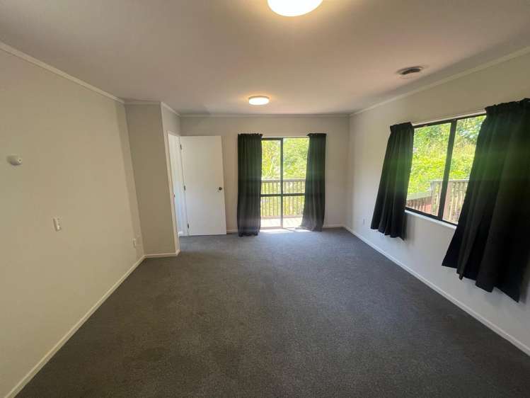 48 Norway Street Aro Valley_4
