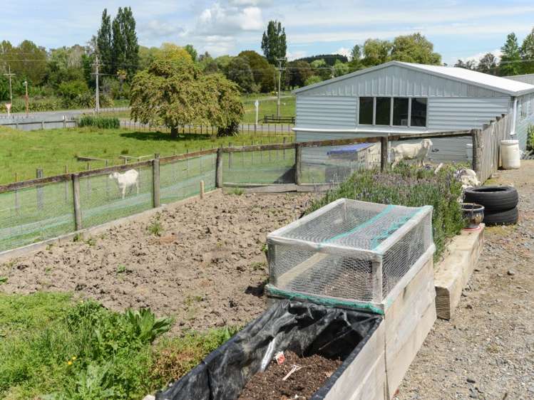 6 Kenderdine Road Elsthorpe_20