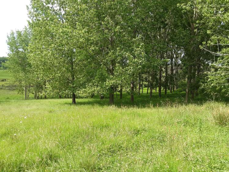 Oneriri Road Kaiwaka Kaipara Houses for Sale One Roof