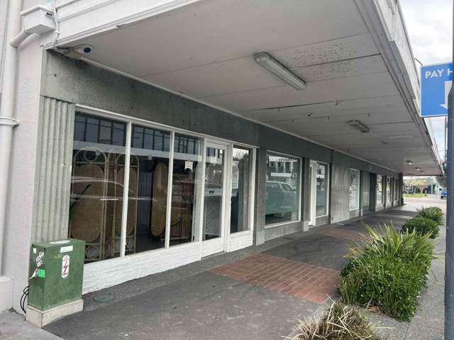 200 Heretaunga Street East Hastings Central_1