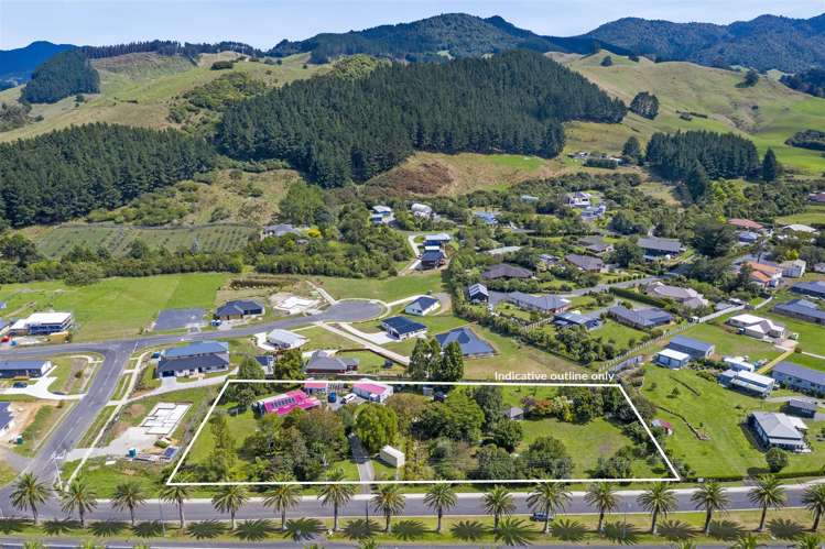 160 Parry Palm Avenue Waihi_0