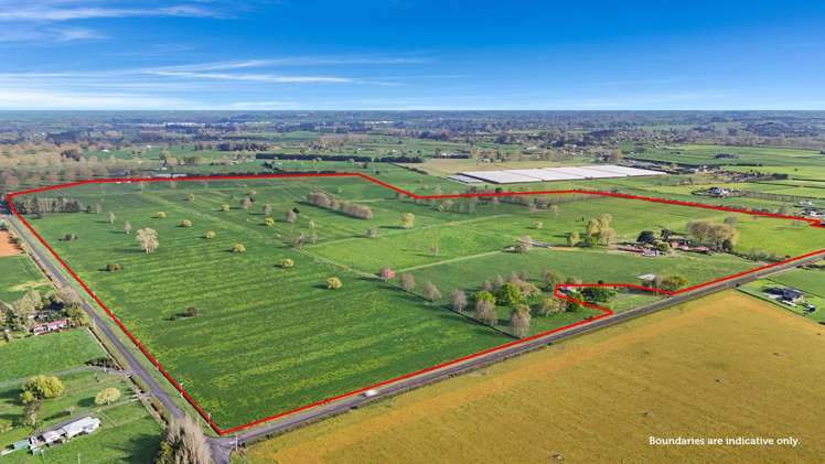 84 Goodwin Road Ohaupo_1