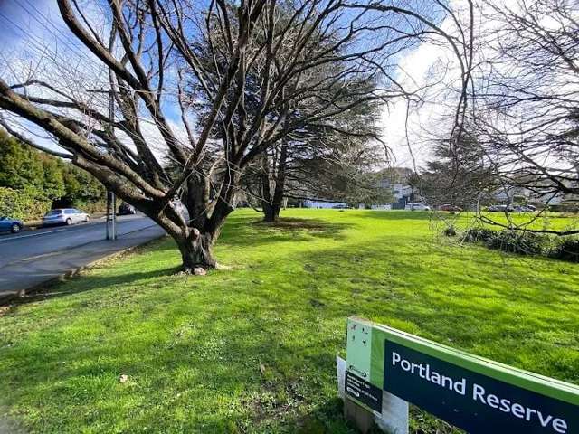 18 Standen Avenue Remuera_3