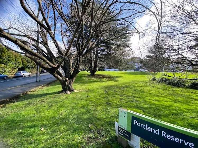 18 Standen Avenue Remuera_3