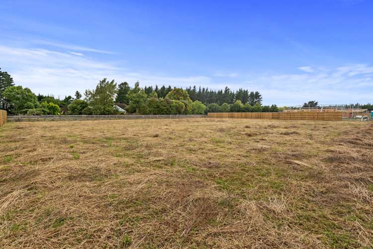 35a Plover Avenue Amberley_5