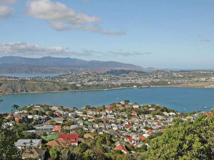 26 Alexandra Road Hataitai_17