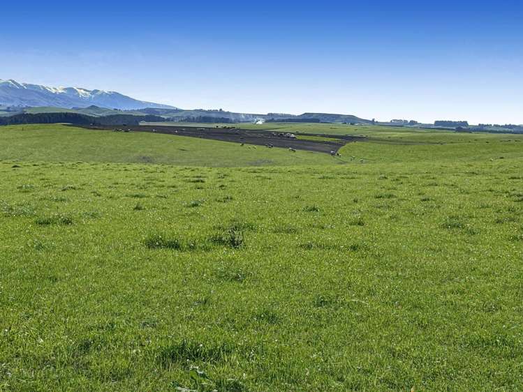 Round Hill Road Five Forks and Surrounds_10