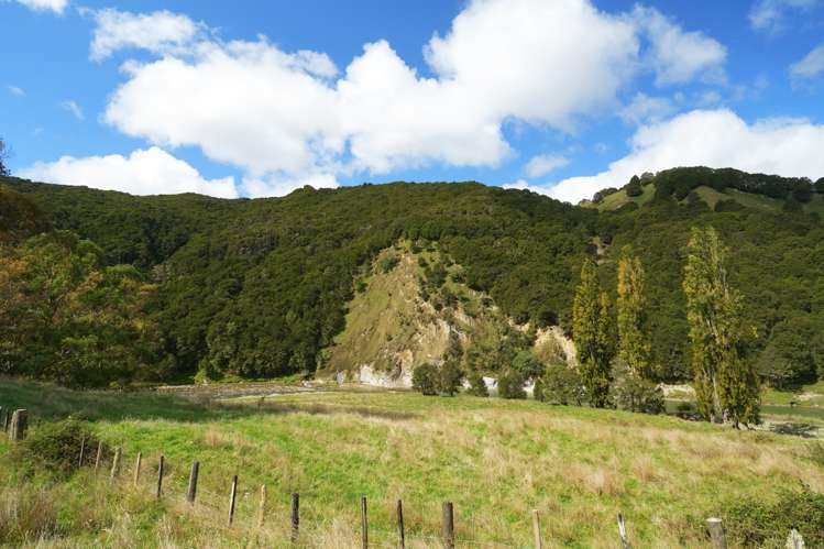 Lot 2 Ruakituri Road_4