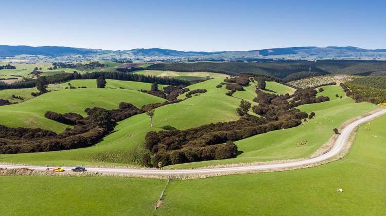 1087 Table Hill Road Milton_3