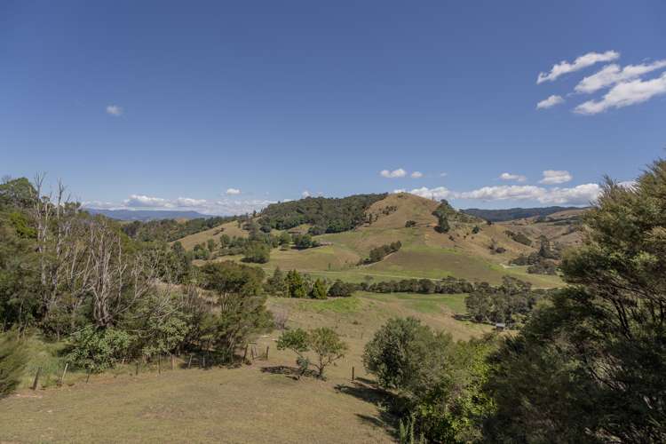 80 Centennial Drive Whitianga_19