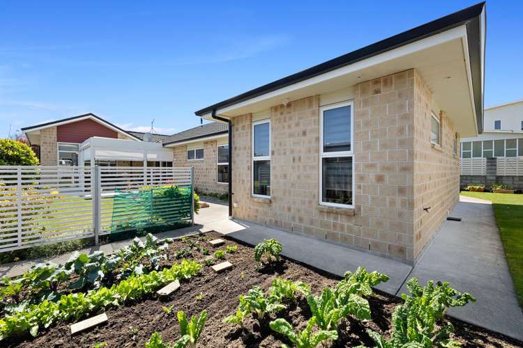 11 Wesley Avenue Frankleigh Park_19