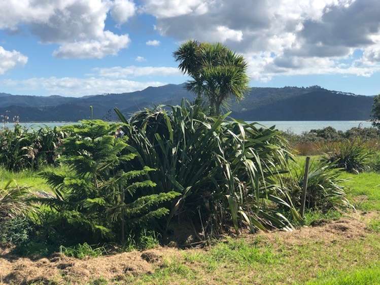 109 Kelly Jade Avenue Matarangi_6