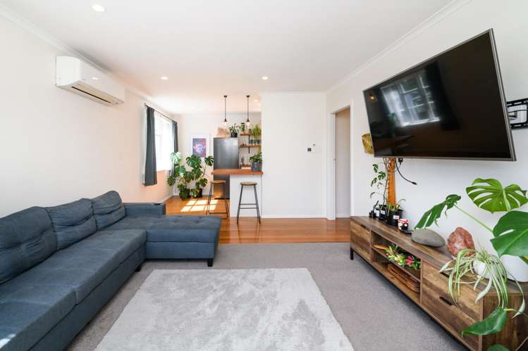 140 Rangiora Avenue Roslyn_9