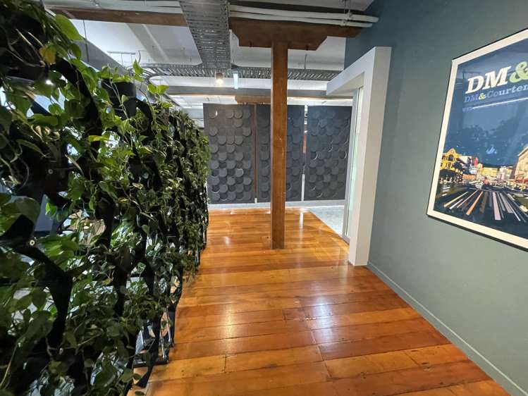 2-12 Allen Street Te Aro_8