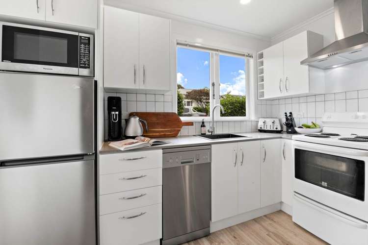 Crummer Road Grey Lynn_5