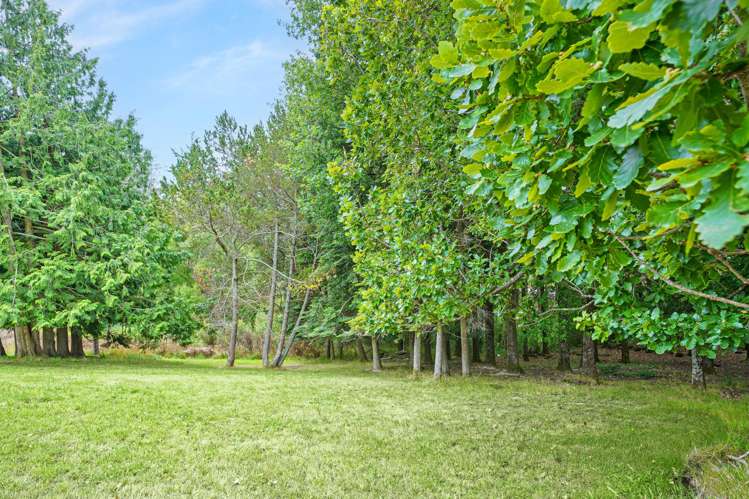 258 Forestry Road Ashley_34