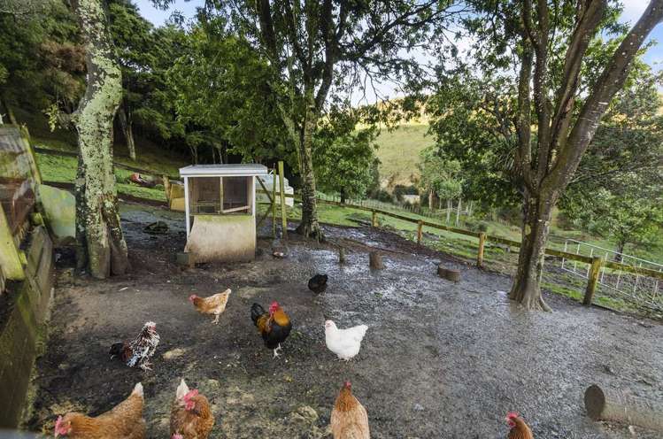 1029a Paparimu Road Mangatawhiri_5