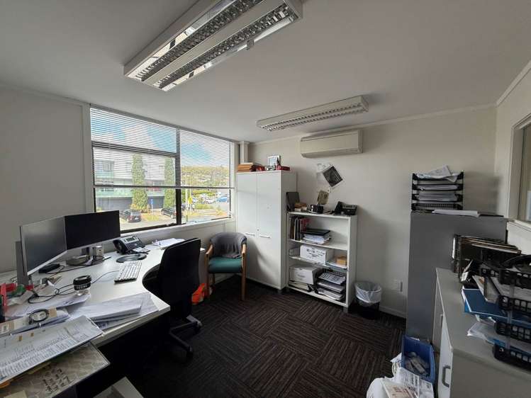 17 Westmoreland Street Grey Lynn_5