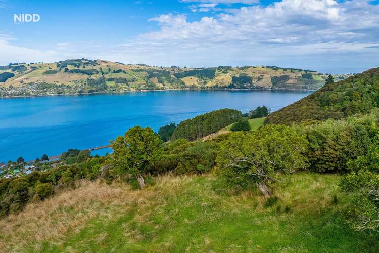 66 Kakapo Street Saint Leonards_6