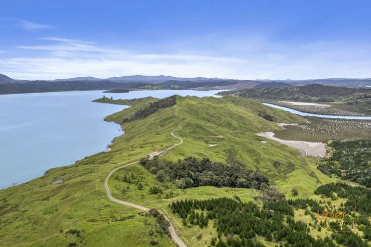 Brindle Road Whirinaki_9