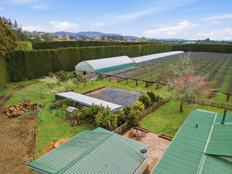 1040 Te Matai Road Te Puke_21