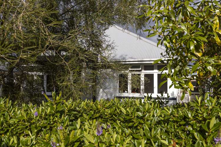 29 Lakings Road Springlands_22