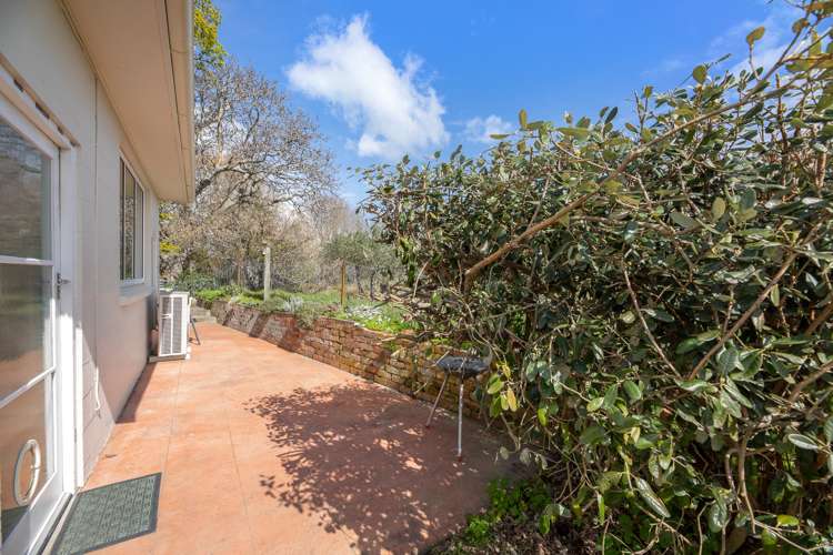 2214 State Highway 1 Spring Creek_17