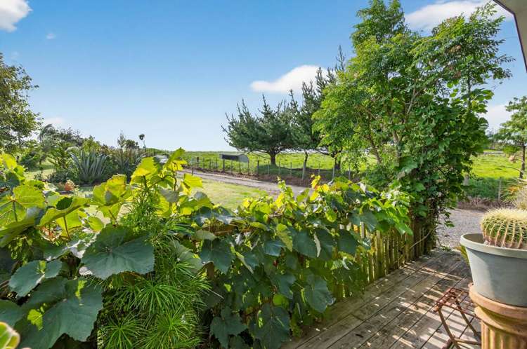 45 Brown Road Kaiwaka_18