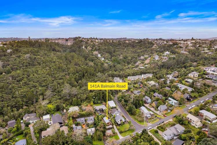 2/141 Balmain Road Birkenhead_19