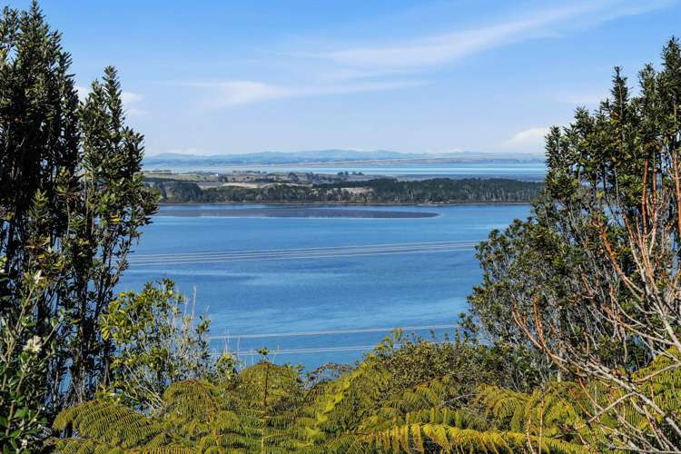 4a Cape Horn Road Hillsborough_25