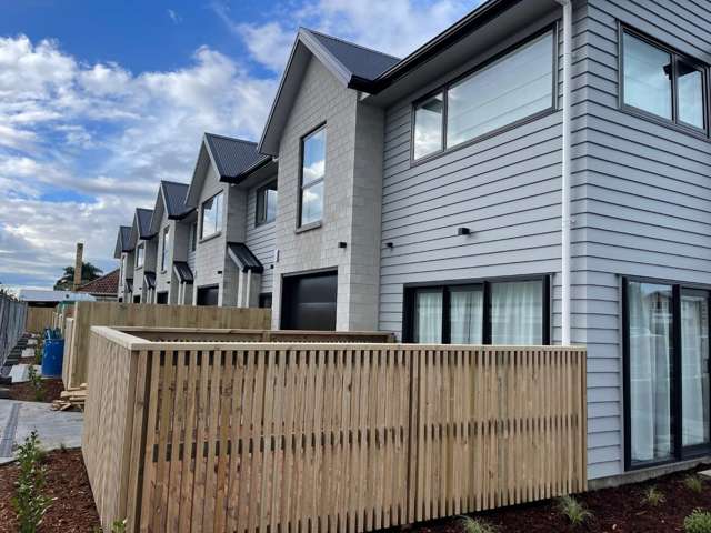 1/180 Ulster Street Whitiora_1