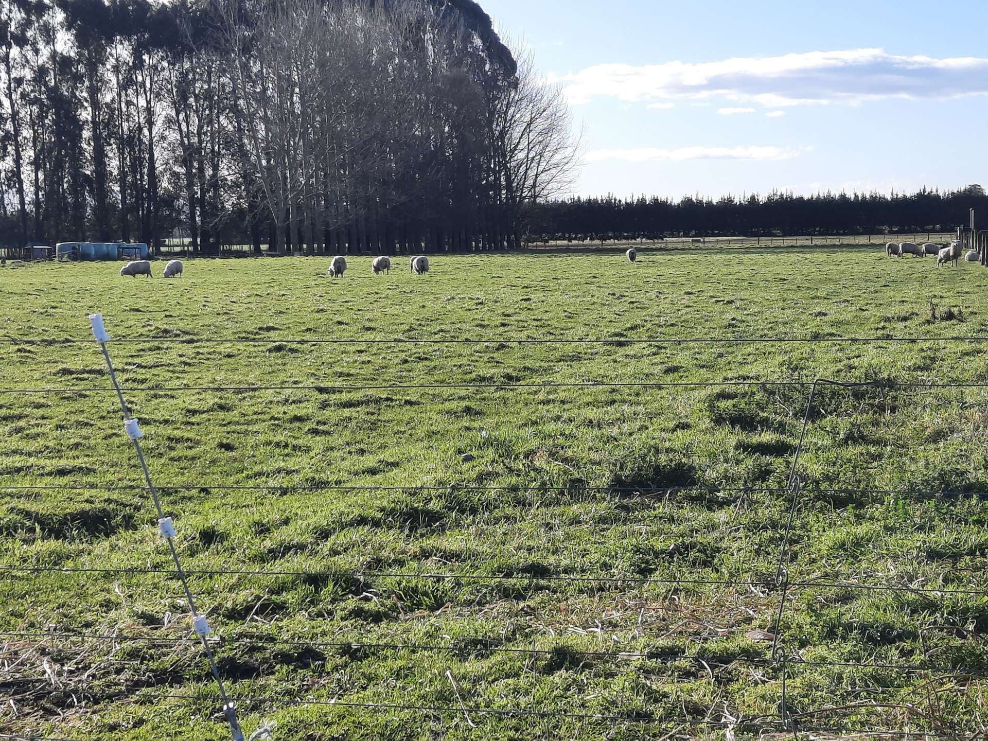 .. Richard Pearse Drive Temuka_0