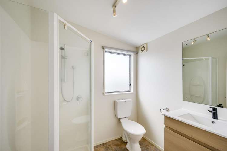 3B Sanders Avenue Marewa_12