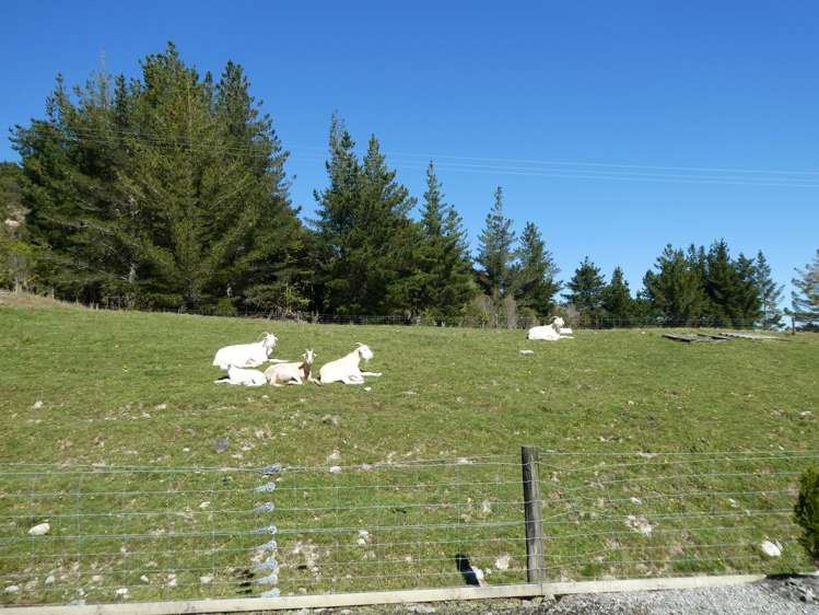 1089 Marsden Road Marsden_23