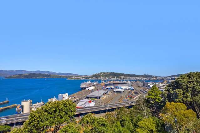 1 & 2/60 Barnard Street Wadestown_2