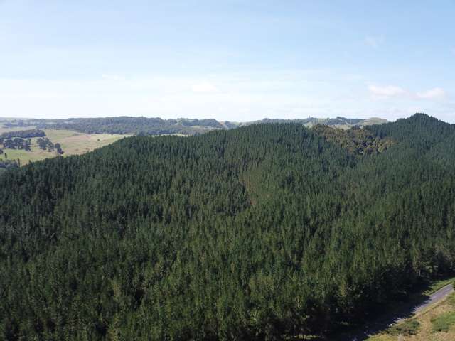 Southland Gisborne_1