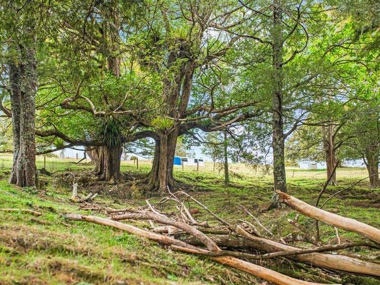 Lot 4 Taylor Road Taipa_14