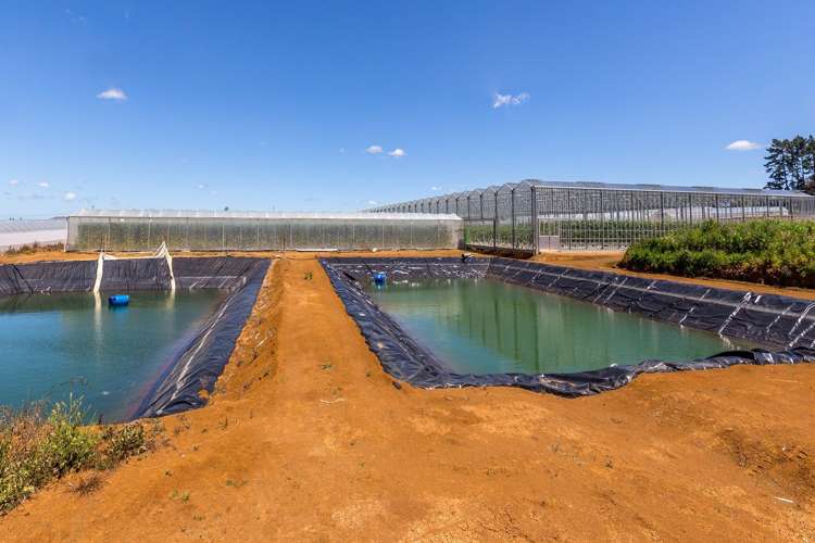 379 Razorback Road Pokeno_12