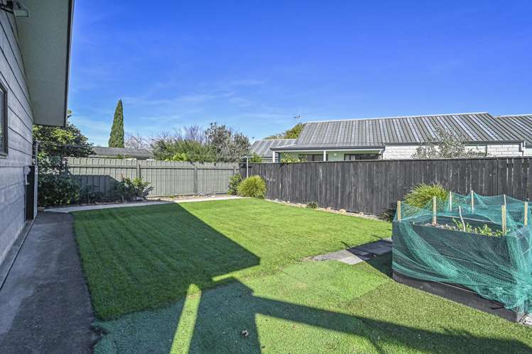 1217 Louie Street Parkvale_18