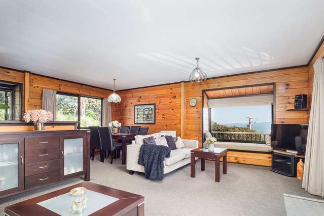 17 Adams Road Thames_3