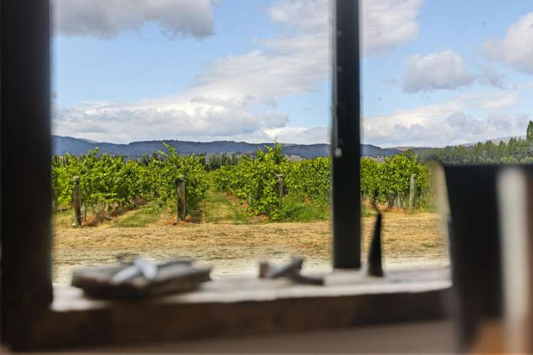 89 McPherson Road, Earnscleugh Alexandra_26