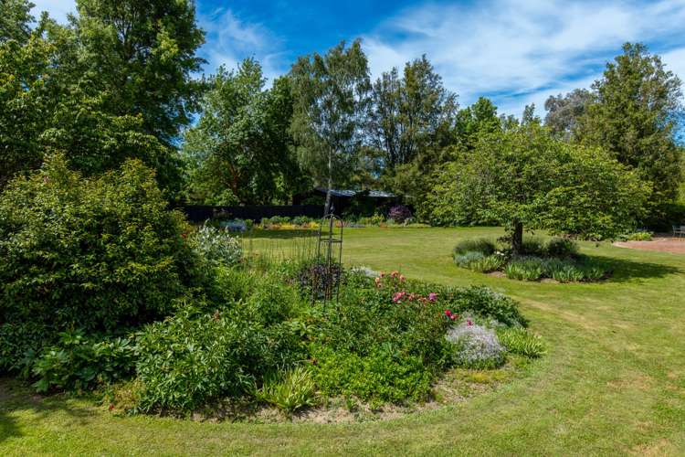 33 David Street Yelverton_12