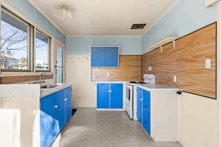 35 Bristol Street Tamatea_4