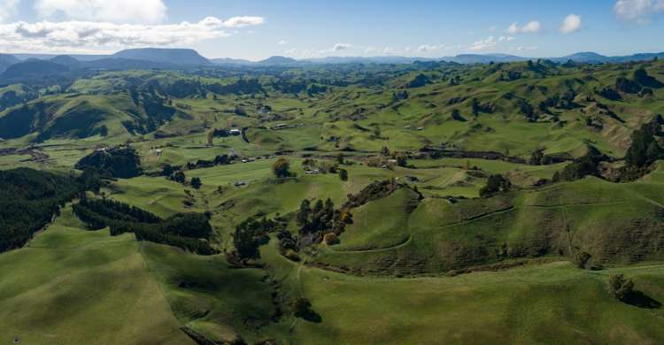 617 Dunkirk Road Atiamuri_25