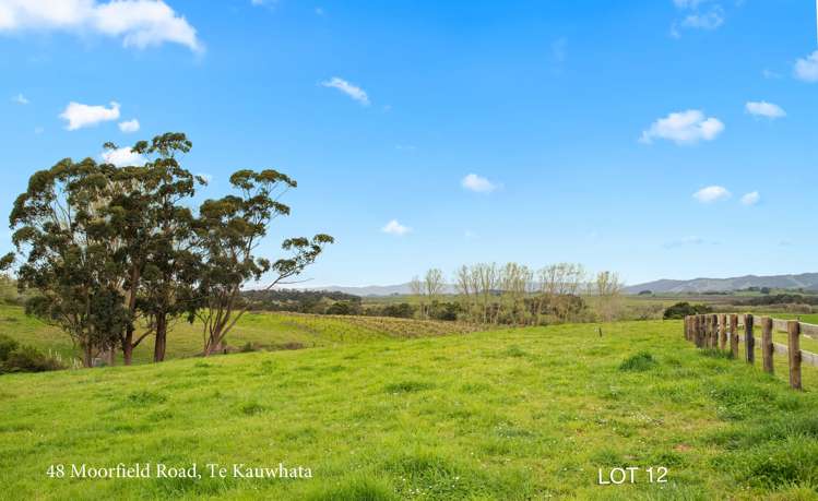 52 Moorfield Road Te Kauwhata_15