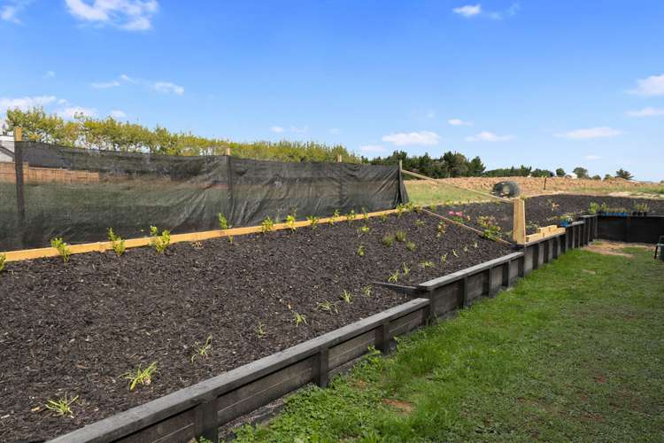 11 Bragato Way Te Kauwhata_24