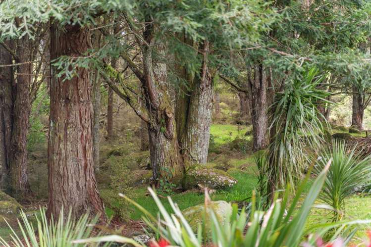 126A Apotu Road Kauri_16