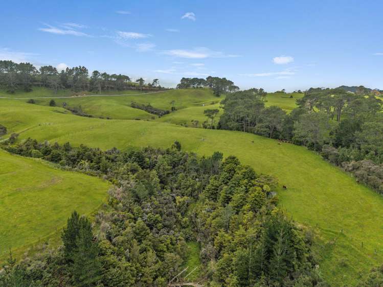309 Opanake Road Dargaville_16