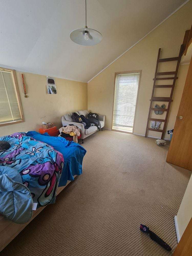 55 Erris Street Johnsonville_13