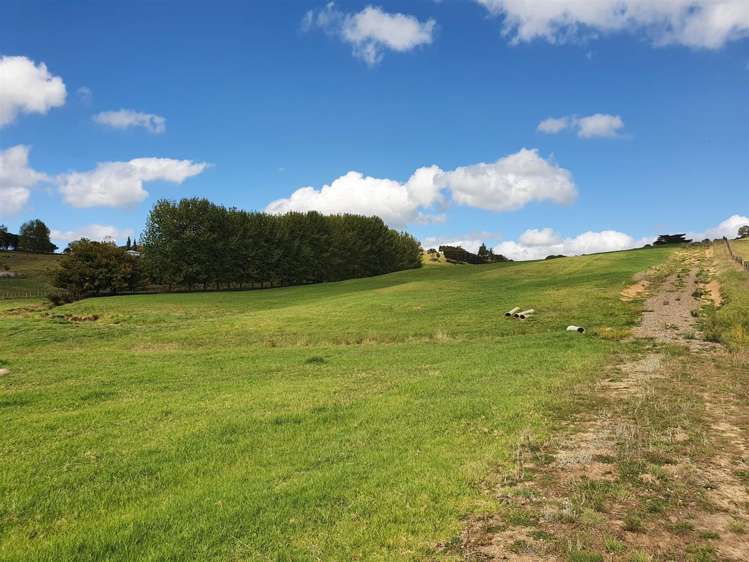 41 Knagg Road Mangapai and Surrounds_8